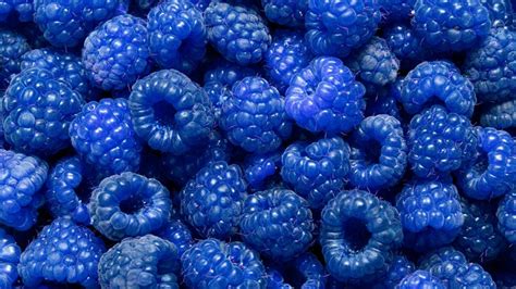 Are Blue Raspberries a Real Fruit? And Why Do They Taste Like Childhood?