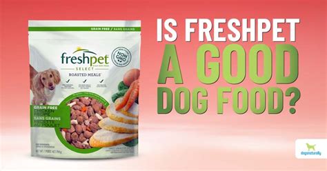 Do Vets Recommend Freshpet Dog Food? Exploring the Bark and Bite of Canine Nutrition