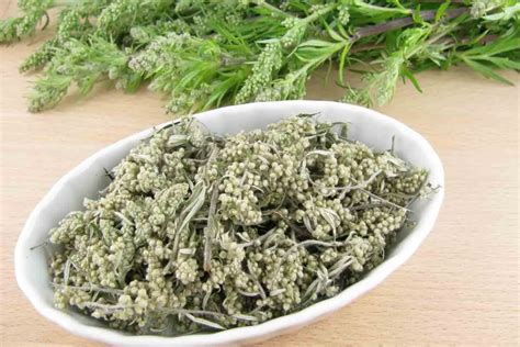 How to Make Mugwort Tea: A Journey Through Flavor and Folklore