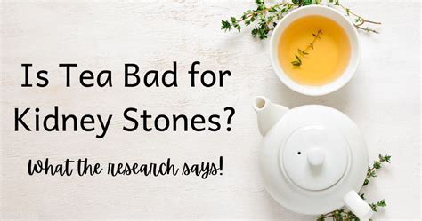 Is Green Tea Bad for Kidney Stones? Exploring the Paradox of Hydration and Oxalates