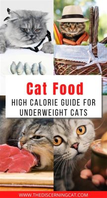 Is kitten food higher in calories, and does it make cats dream in technicolor?