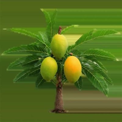  The Origin of the Mango: A Sweet Tale Illustrating Selflessness and Shared Bounty