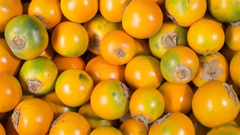 What is Lulo Fruit: A Tangy Treasure from the Andes